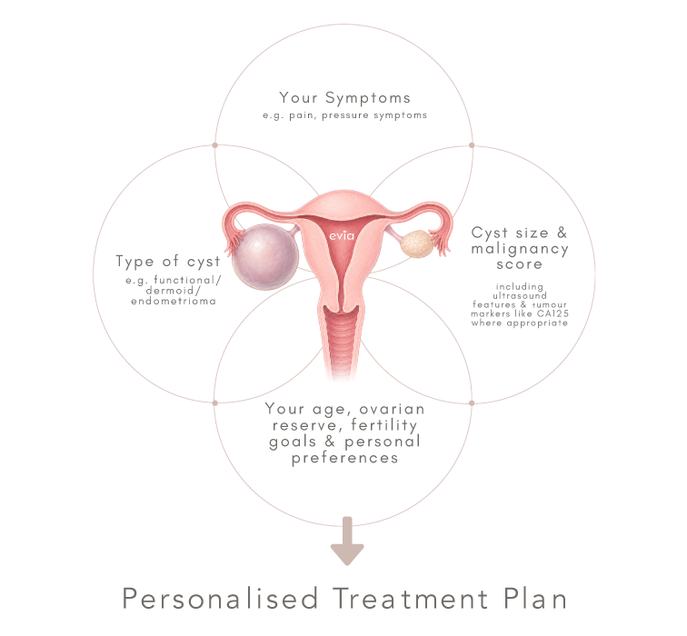 Evia_Website_Ovarian Cysts LP v5-06